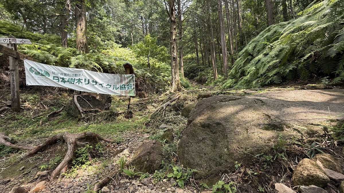世界文化遺産「熊野古道」と日本三大人工美林「尾鷲ヒノキ」を散策しました(令和7年7月8日)
