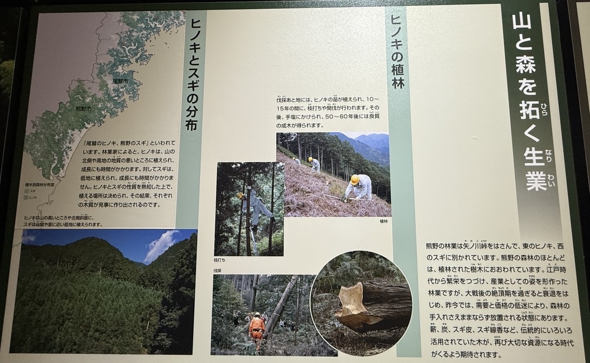 世界文化遺産「熊野古道」と日本三大人工美林「尾鷲ヒノキ」を散策しました(令和7年7月8日)