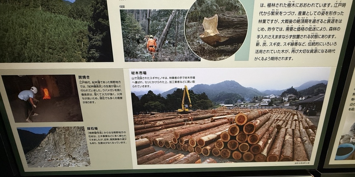 世界文化遺産「熊野古道」と日本三大人工美林「尾鷲ヒノキ」を散策しました(令和7年7月8日)