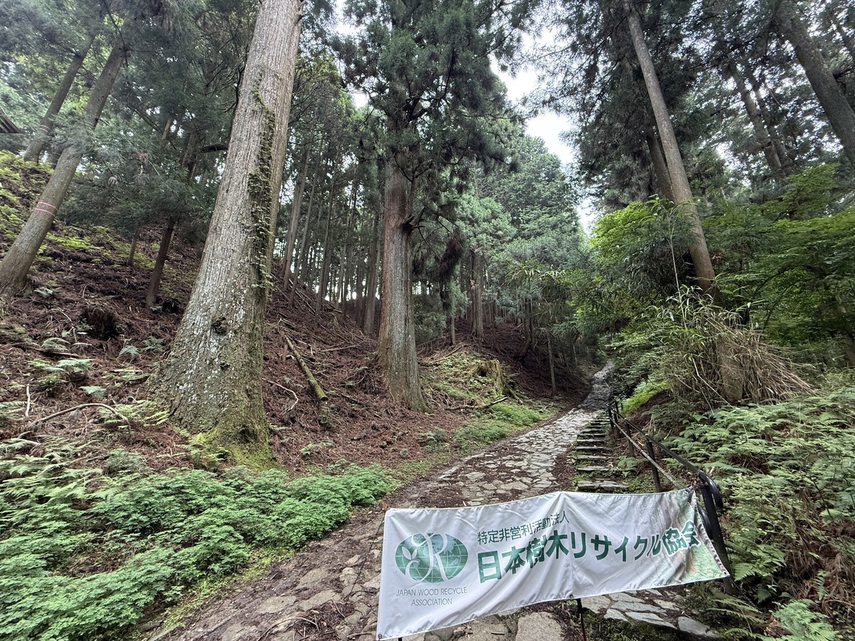 「貯木場（ちょぼくじょう）がある吉野林業」と日本三大人工美林「吉野スギ」を散策しました（令和7年7月9日）