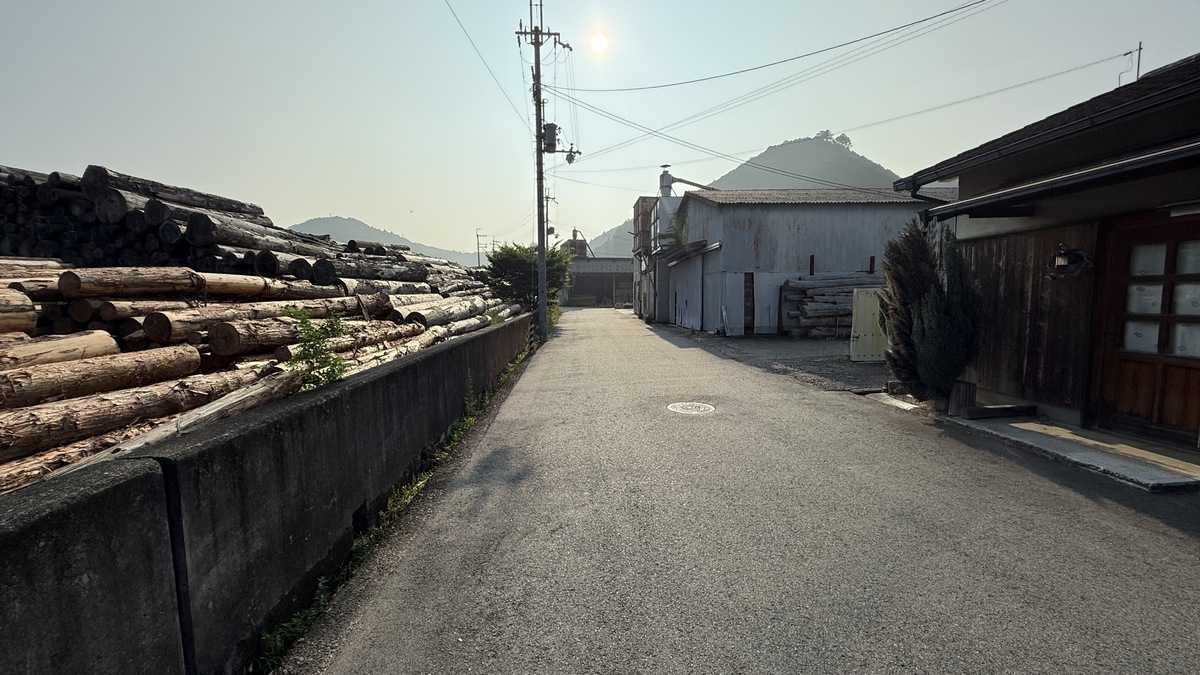 「貯木場（ちょぼくじょう）がある吉野林業」と日本三大人工美林「吉野スギ」を散策しました（令和7年7月9日）
