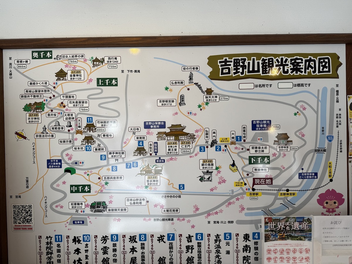 「貯木場（ちょぼくじょう）がある吉野林業」と日本三大人工美林「吉野スギ」を散策しました（令和7年7月9日）