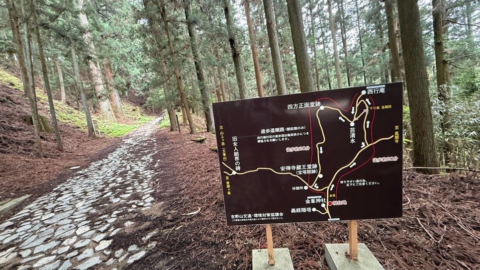 「貯木場（ちょぼくじょう）がある吉野林業」と日本三大人工美林「吉野スギ」を散策しました（令和7年7月9日）