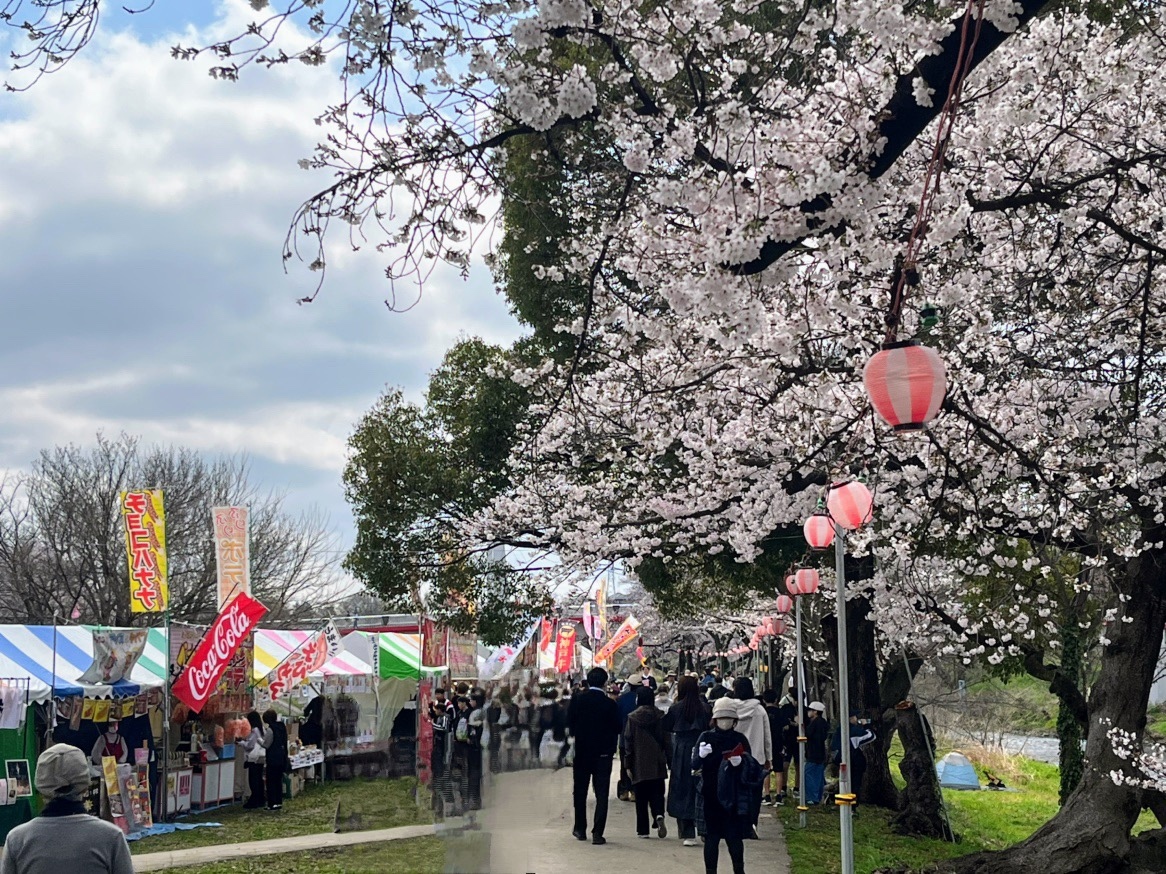 第9回　志木市さくらフェスタに参加しました！